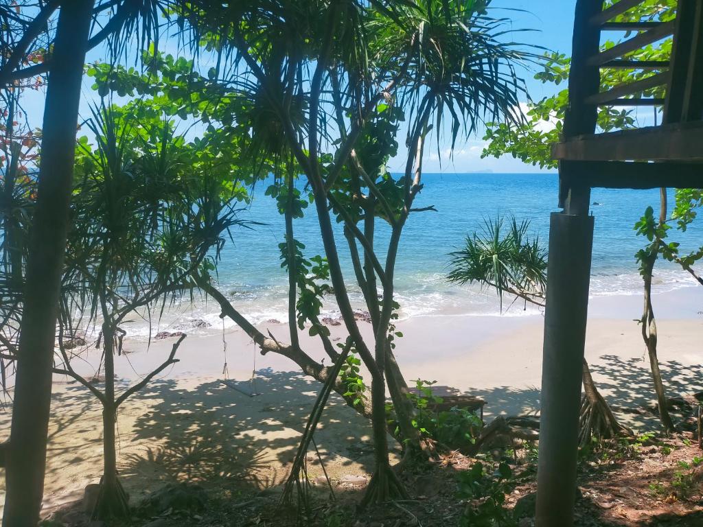 Jungle Hill Beach Bungalow Jungle Hill Beach Bungalow