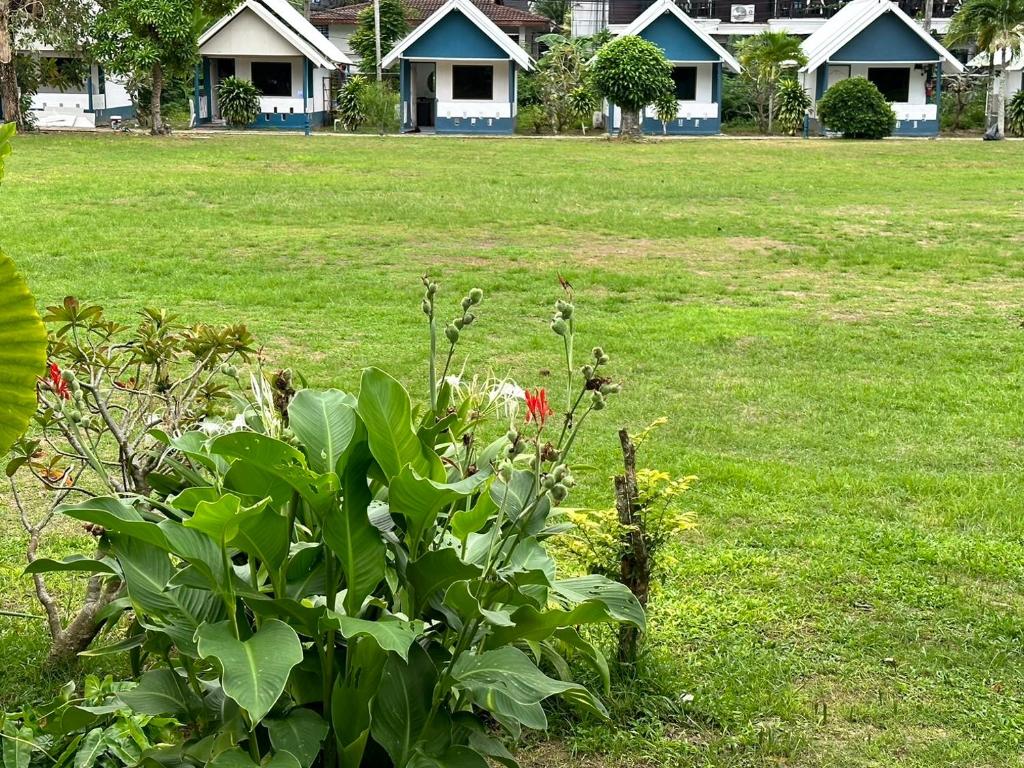 Gypsy Bungalow- Phi Phi Island
