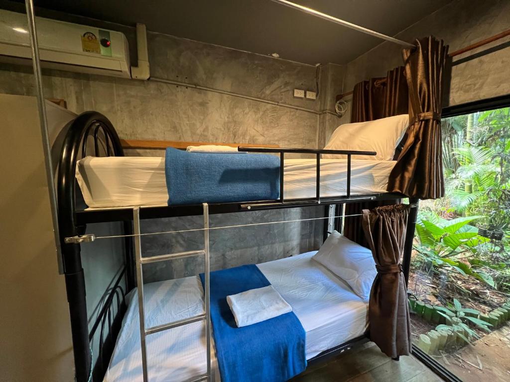 Mountain View Party Hostel