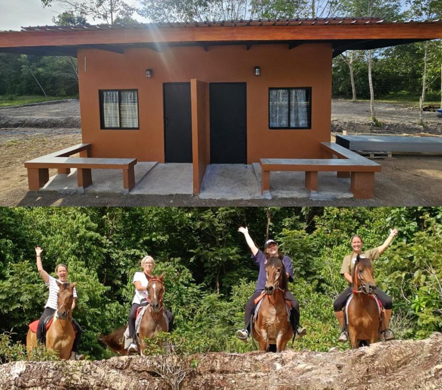 Farm Bungalow Farm Bungalow