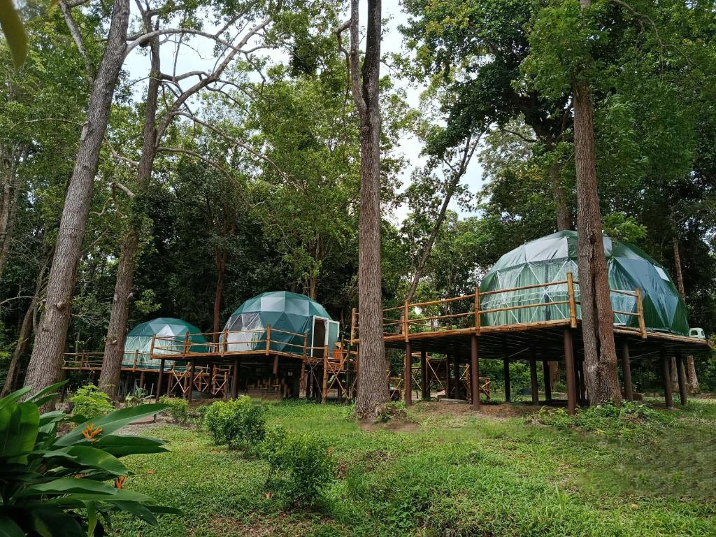 NATUR - Krabi Campsite Glamping & Camping NATUR - Krabi Campsite Glamping & Camping