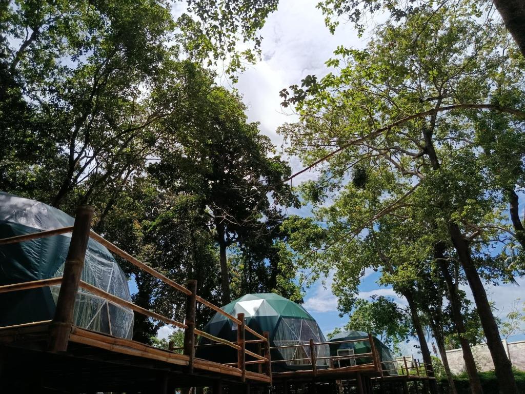 NATUR - Krabi Campsite Glamping & Camping NATUR - Krabi Campsite Glamping & Camping
